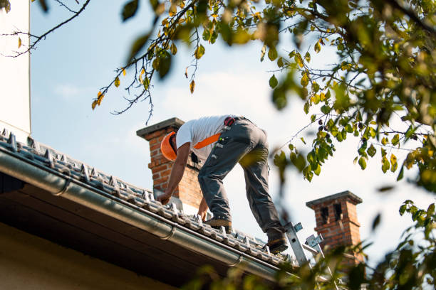 Best Commercial Roofing Services  in Terra Bella, CA