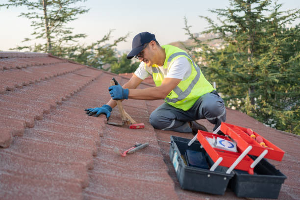 Best Roof Gutter Cleaning  in Terra Bella, CA